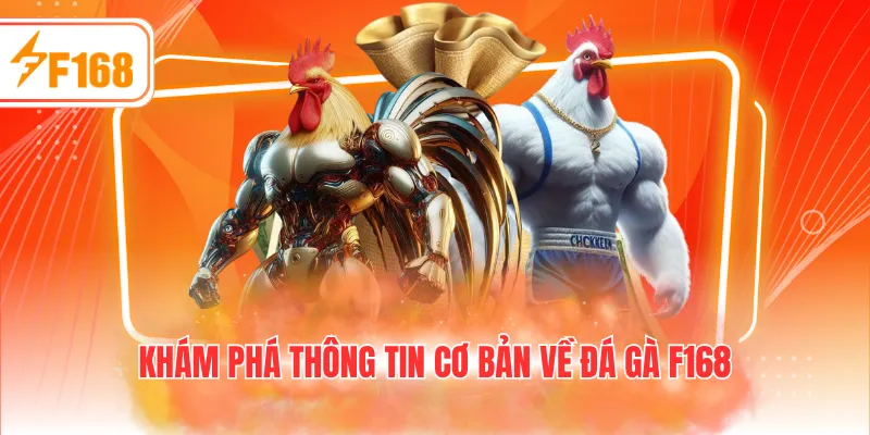 Khám phá thông tin cơ bản về đá gà F168